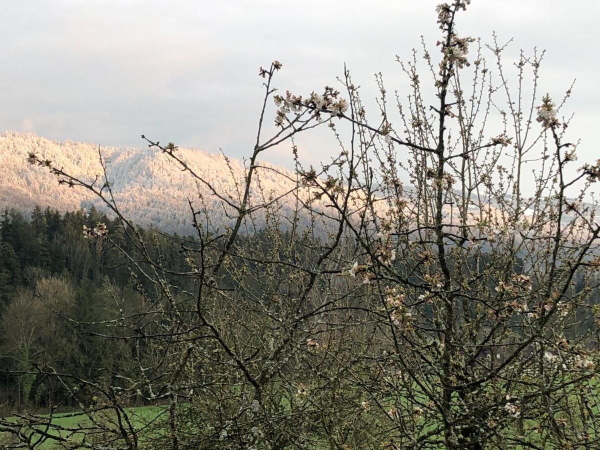 Ferienwohnung Samys Nahe Lindau Am Bodensee Sigmarszell Zewnętrze zdjęcie